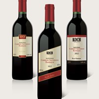 Портфолио Buday Zsófia